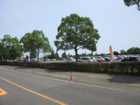 P6 山崎運動公園(市営駐車場)